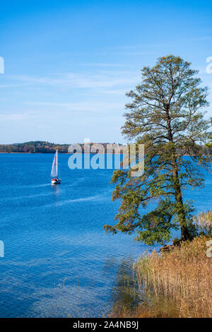 Wonderful autumn landscape with pine trees, lake, boat and reeds, vertical Stock Photo