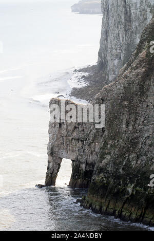 The Beautiful Bempton Limestone Cliffs on the North Yorkshire Coast near Bridlington Yorkshire England United Kingdom UK Stock Photo