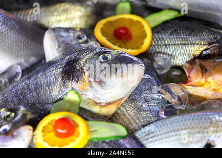 Fresh raw dorado fishes with lemon unprepared on ice Stock Photo