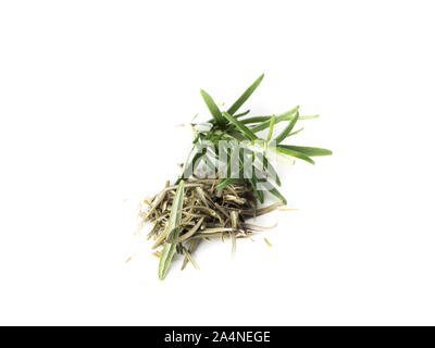 Rosemary isolated on White Background Stock Photo