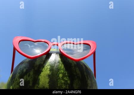 melon bike glasses