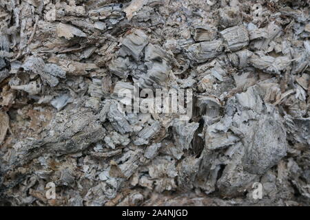 Closeup of grey burnt ashes Stock Photo