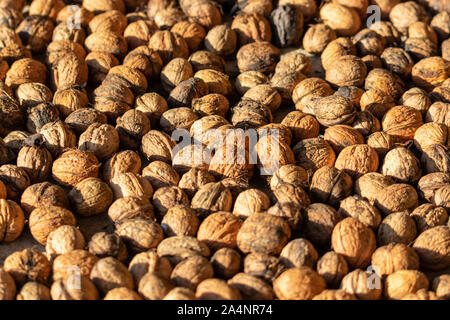 Walnuts to dry in the sun as background or texture Stock Photo