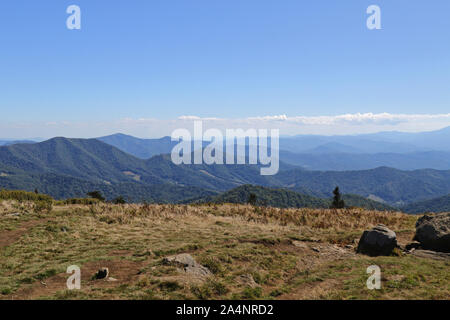 Scenic view from the top of Roan Mountain Tennessee, United States Stock Photo