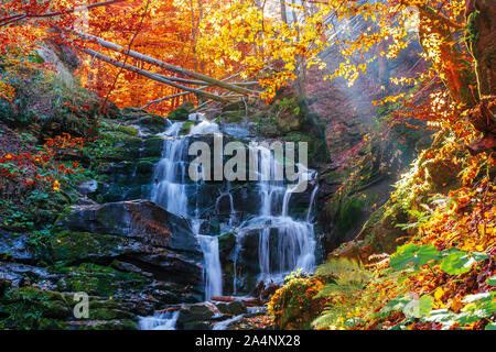 beautiful autumn scenery near the waterfall shypot. popular destination of Ukrainian Carpathians. trees in golden foliage. calm sunny weather in autum Stock Photo
