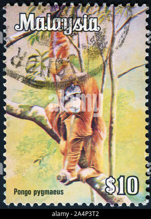 Orangutan on malaysian postage stamp Stock Photo