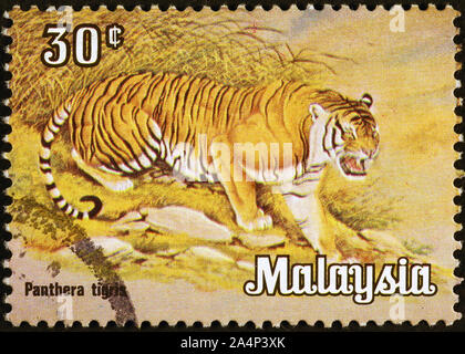 Tiger on malaysian postage stamp Stock Photo