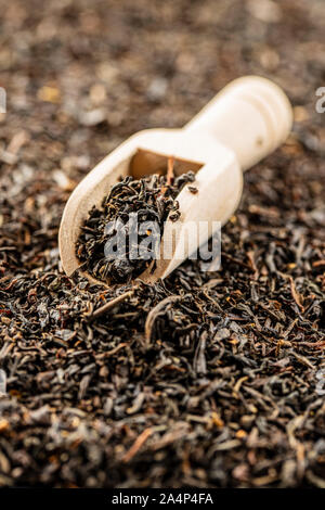 Dried black tea leaves in wooden scoop. Stock Photo