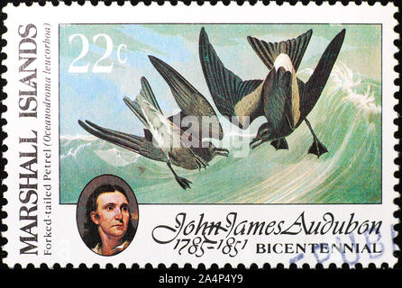 Marine birds painted by Audubon on postage stamp Stock Photo