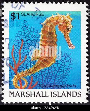 Seahorse on postage stamp of Marshall Islands Stock Photo