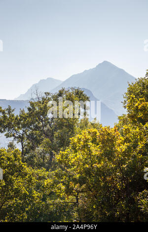 Silhouette of a pointy distant peak on a clear day and golden autumn leaves on the trees in the foreground Stock Photo