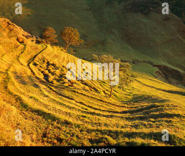 New Zealand. Manukau Heads. Steep sloping grassland valley. Stock Photo