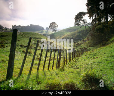 New Zealand. Waikato. Farmland pasture with wire fence. Stock Photo