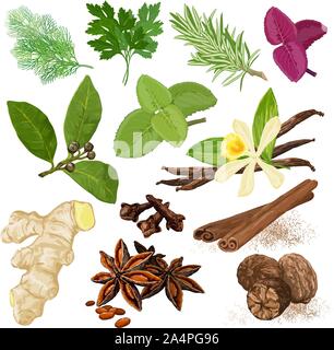 Spices. Vector menu icon set Stock Vector