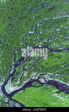 Satellite view of Lena river delta, summer, arctic tundra, Russia, 2005, by NASA/DPA Stock Photo