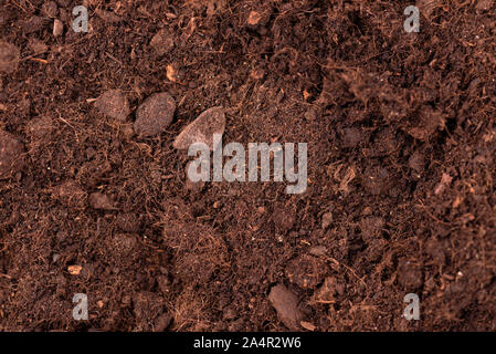 Soil texture background. Top view. Fertile soil for growing plants and flowers. Stock Photo