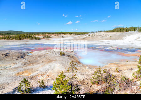 Geothermal pools at Porcelain Basin Trail inside Norris Geyser Basin of Yellowstone National Park, Wyoming, USA. Stock Photo