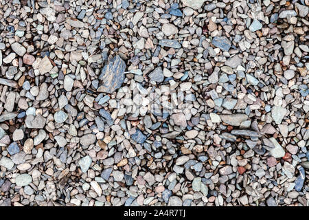 Background and texture of multi-colored gray pebbles and stones on the shore of a lake, sea, river for design and decoration. Stock Photo