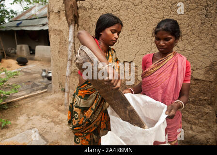 Women from the Santal community store rice paddy, at their homestead, in Joypurhat, Rajshahi, Bangladesh. May 20, 2011..The Santals are an ethnic minority community living in different districts of Rajshahi division in Bangladesh.  Most do not own land and work as daily paid labourers for very low wages. Much of the advancements in technology have bypassed these isolated communities where males dominate and women shoulder the burden of farming and carrying out other livelihoods..Santals are also the largest ethnic group in India where they have settlements in the states of Jharkhand, West Beng Stock Photo