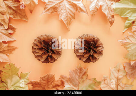 Autumn background with two pinecones and colorful maple leaves on a brown background. Top view Stock Photo