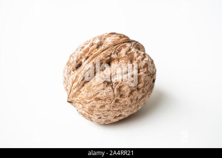 Walnut isolated on a white background. Stock Photo