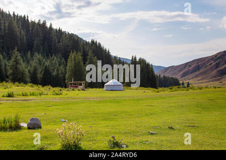 Summer landscape in the mountains. Tall trees of a Christmas tree, the national dwelling is a yurt. Kyrgyzstan Tourism and travel Stock Photo
