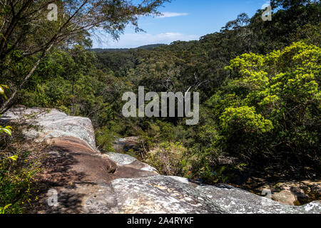 Elevated view from rocky crag of Australian forest bush at Somersby Falls , NSW, Australia Stock Photo