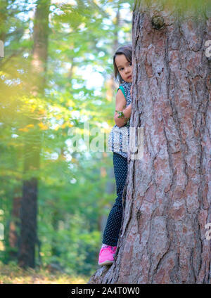little girl climbing on a tree in the forest Stock Photo