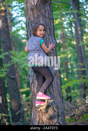 little girl climbing on a tree in the forest Stock Photo