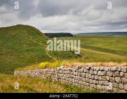 Hadrian's Wall near the Roman fort at Housesteads, Northumberland, England Stock Photo