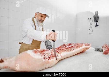 Butcher professional cutting pork carcasses of big knife. Elderly working with beard in white uniform, brown apron, special gloves standing near table and cutting pork. Meat manufacturing. Stock Photo