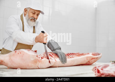 Elderly butcher cutting pork carcass with knife on table. Handsome worker with beard in white uniform, white cap, brown apron and special gloves working on manufactury with raw meat. Stock Photo