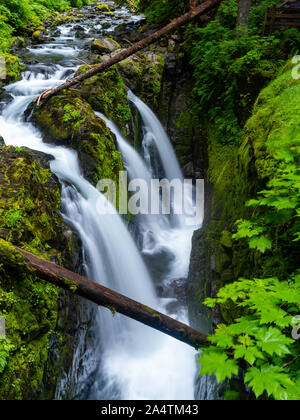 Sol Duc Falls on an overcast day at the Sol Duc unit of Olympic National Park, Washington, USA. Stock Photo