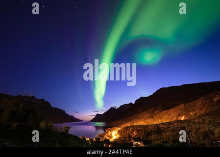 Green autumn aurora on blue night sky. Northern lights above fjord and mountains, in foreground some plants. Ersfjordbotn, Tromso, Norway. Stock Photo