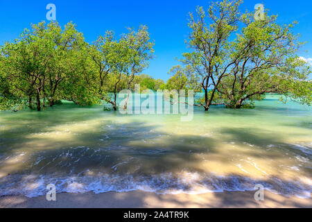 Wild tropical beach with mangrove trees in Koh Payam island, Thailand Stock Photo