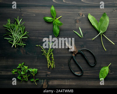 Various of spices and herbs on wooden background. Flat lay spices ingredients rosemary, thyme, oregano, sage leaves and sweet basil on dark wooden. Stock Photo