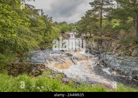 Summer Solstice 2019 at Low Force Waterfall, Upper Teesdale, UK Stock Photo