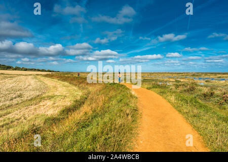 Morston salt Marshes seen from the Blakeney to Morston coastal path. Norfolk, England, UK.