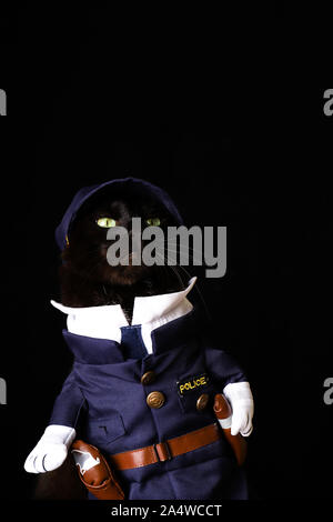 Cute kitten dressed as police officer on white background Stock Photo ...