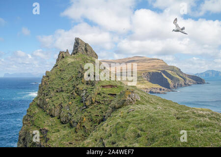 A adult Northern Fulmar (Fulmarus glacialis) flying over the island on Mykines in the Faroe Islands Stock Photo