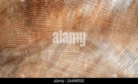 Abstract, slightly cracked texture in wood Stock Photo