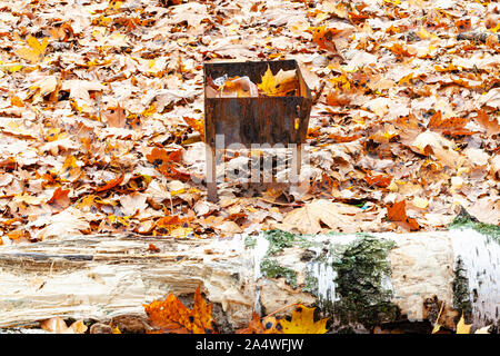 rusty small barbecue grill with trash on meadow covered by fallen leaves in city park in autumn Stock Photo