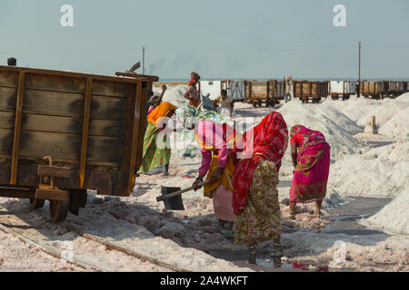 Indian woman works on salt mine Stock Photo