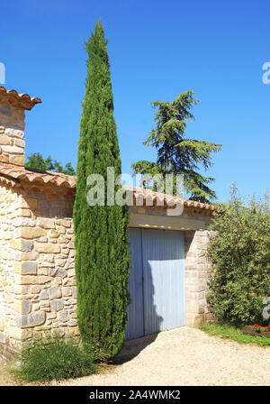 Decorative cypress in front of a provencal stone building. Stock Photo