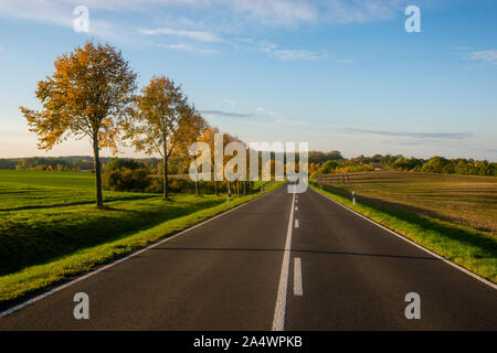 asphalt road in a row of autumn trees running through autumn fields Stock Photo