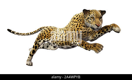 Jaguar leaping, wild animal isolated on white background Stock Photo - Alamy