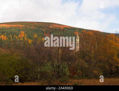 The Round Tower amidst trees in full Autumn colour, Glendalough, Wicklow Mountains National Park, County Wicklow, Ireland Stock Photo