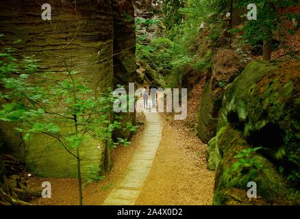 Prachovské skály, A unique combination of outlandish rock formations, dense pine forests, Czech Republic Stock Photo
