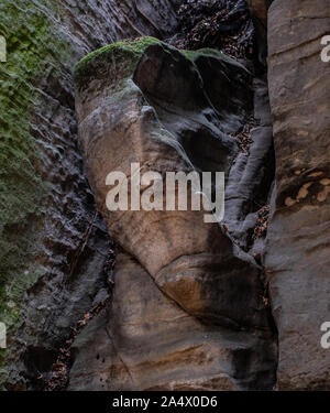 Prachovské skály, A unique combination of outlandish rock formations, dense pine forests, Czech Republic Stock Photo