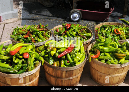 Chilis for sale on Santa Fe's Saturday Farmers' Market. The market is also held, seasonally, on other weekdays. It takes place in the Railyard area. Stock Photo